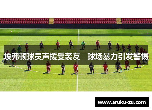 埃弗顿球员声援受袭友　球场暴力引发警惕